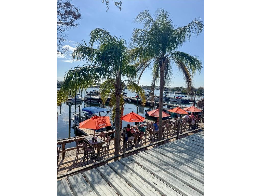 1280 Windy Bay Shoal Tarpon Springs FL 34689 OM694221 image10