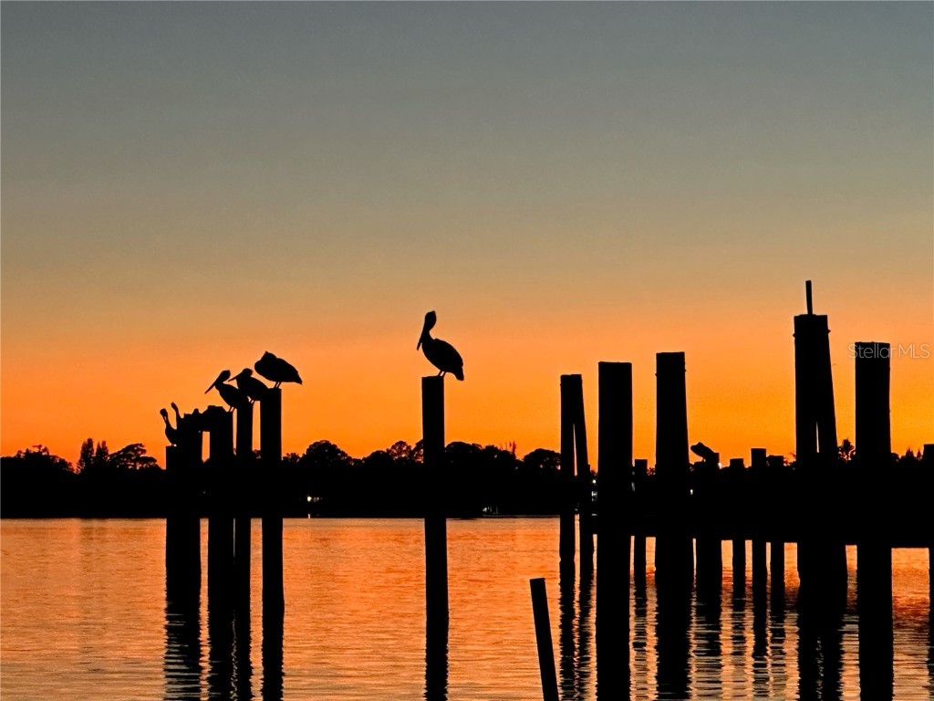 1280 Windy Bay Shoal Tarpon Springs FL 34689 OM694221 image11