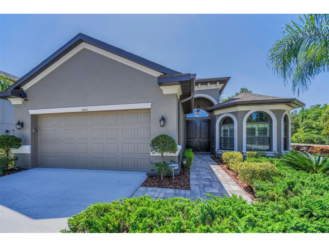 12800 Solola Way Trinity FL 34655 W7874810 image1