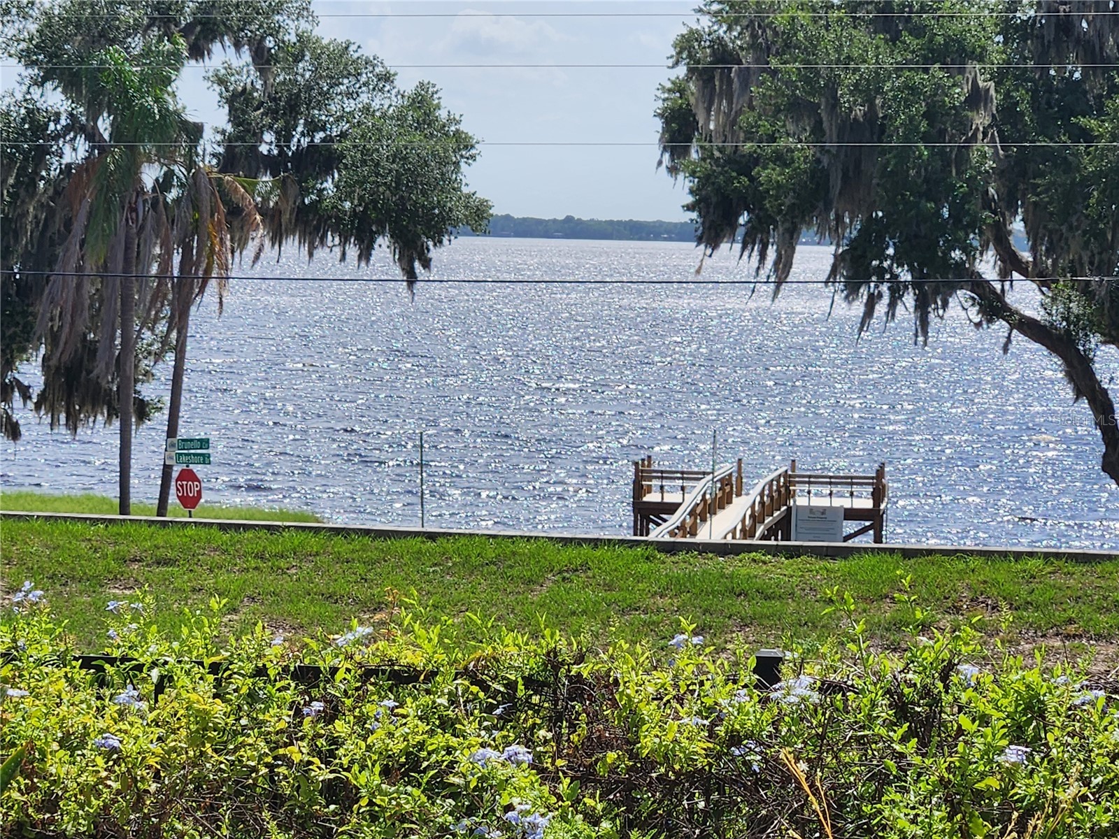 12801 Brunello Circle Clermont FL 34711 - LAKE MINNEHAHA O6410889 image5