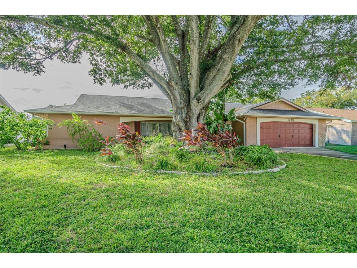 12801 Candlewood Way Hudson FL 34667 W7879526 image1