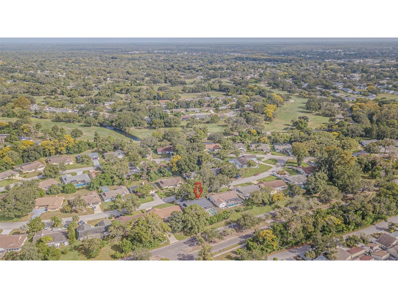 12801 Candlewood Way Hudson FL 34667 W7879526 image43