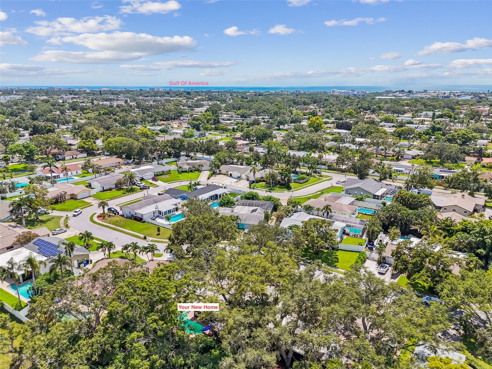 12801 Kimberly Oaks Circle Largo FL 33774 TB8416607 image53