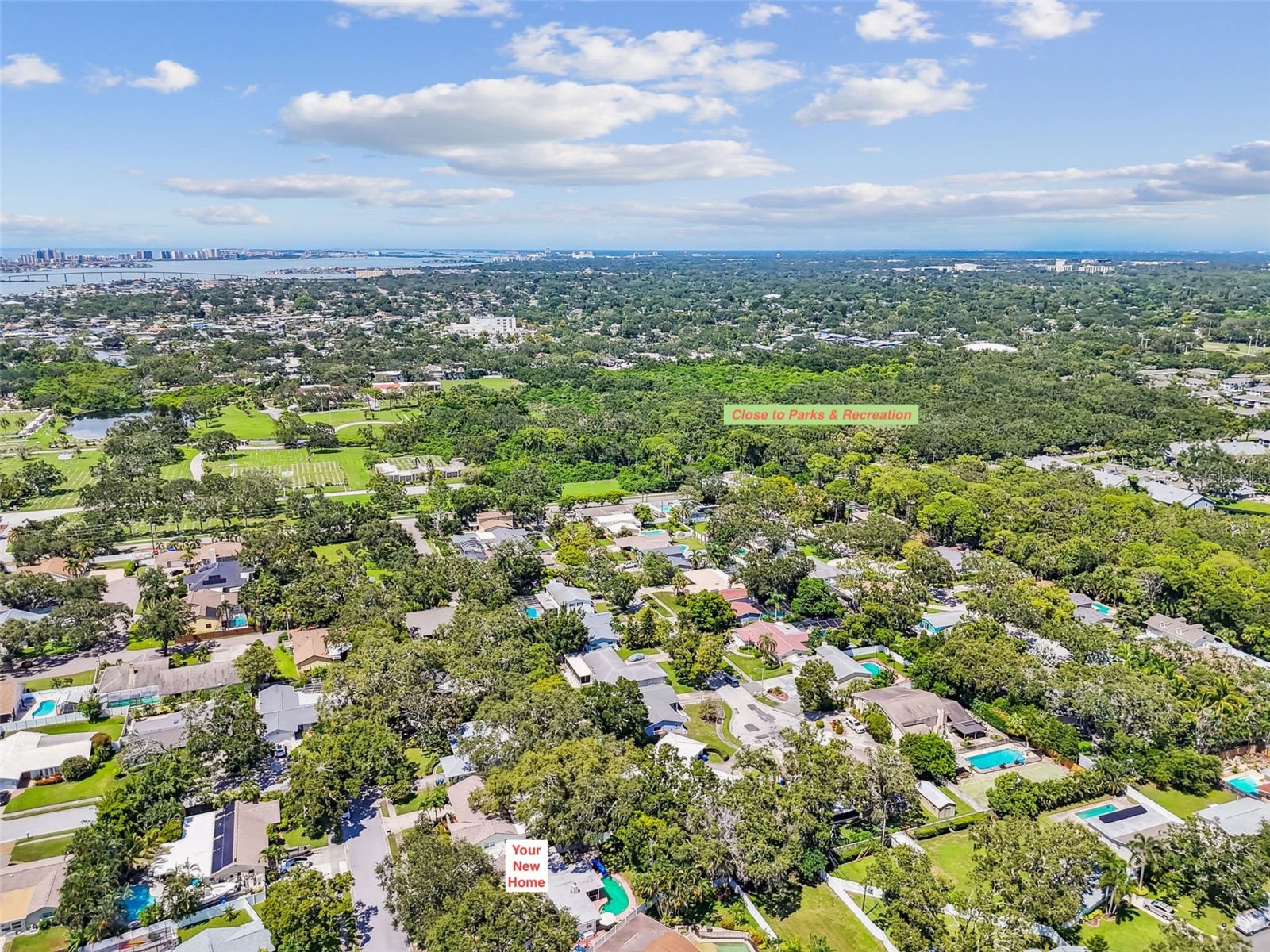 12801 Kimberly Oaks Circle Largo FL 33774 TB8416607 image54