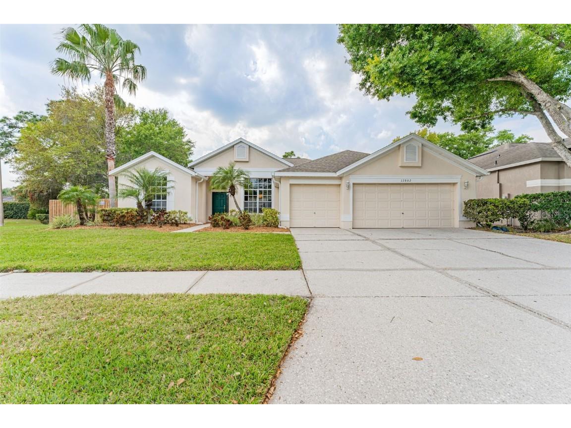 12802 Big Sur Drive Tampa FL 33625 T3433276 image1