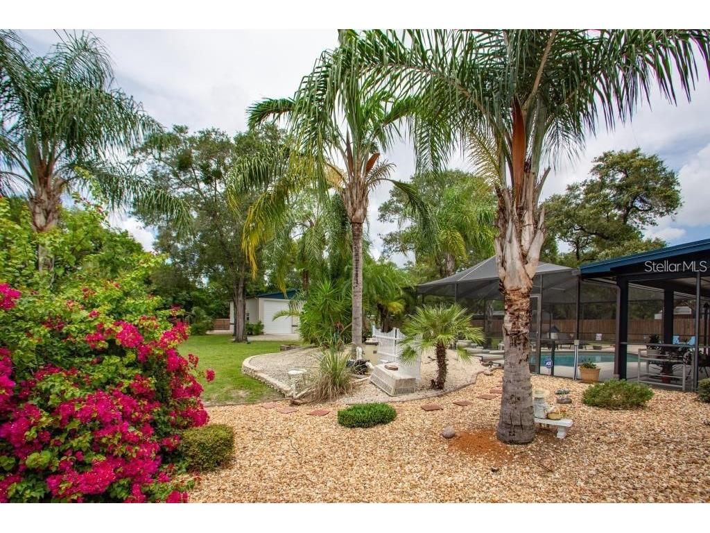 12802 N 53rd Street Temple Terrace FL 33617 TB8460908 image27