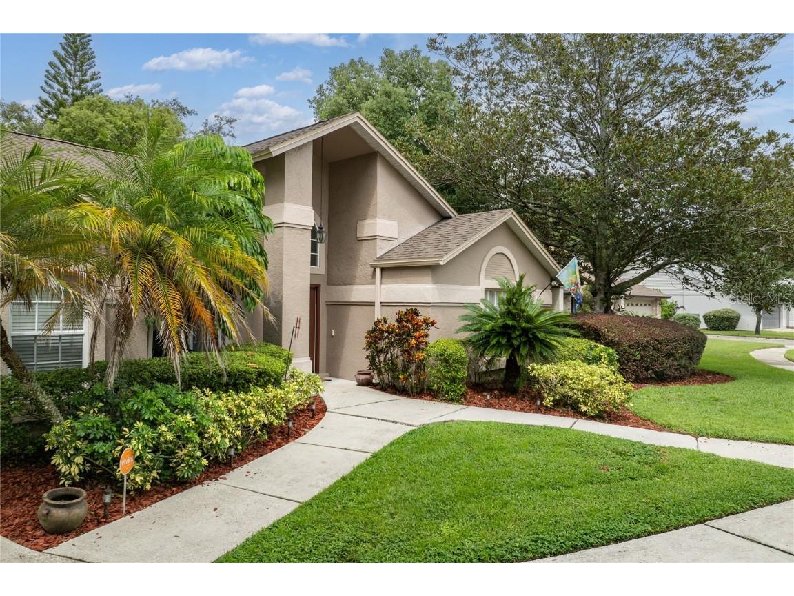 12802 Wallingford Drive Tampa FL 33624 TB8304484 image1