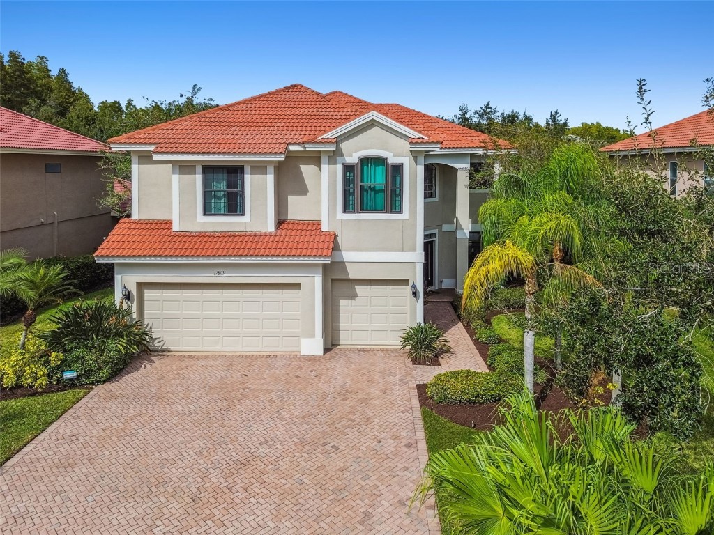 12803 Darby Ridge Drive Tampa FL 33624 TB8442211 image1