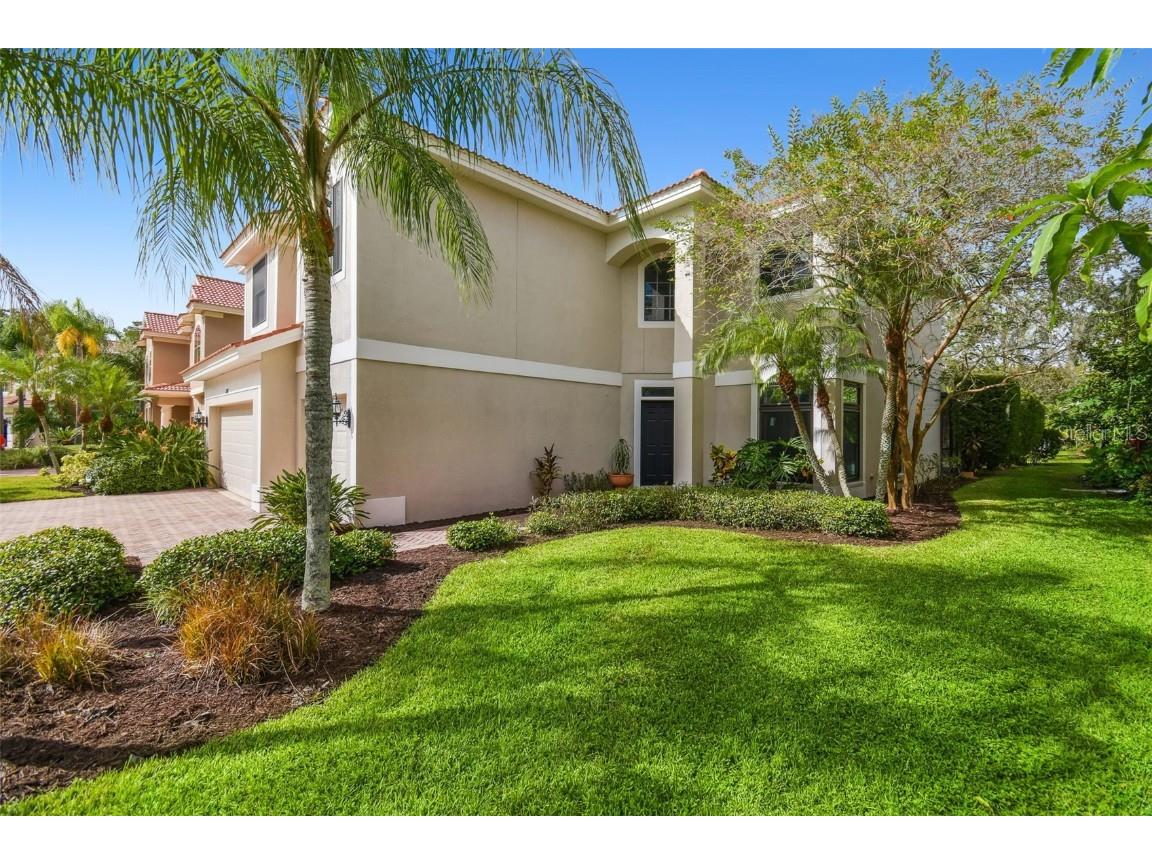 12803 Darby Ridge Drive Tampa FL 33624 TB8442211 image5