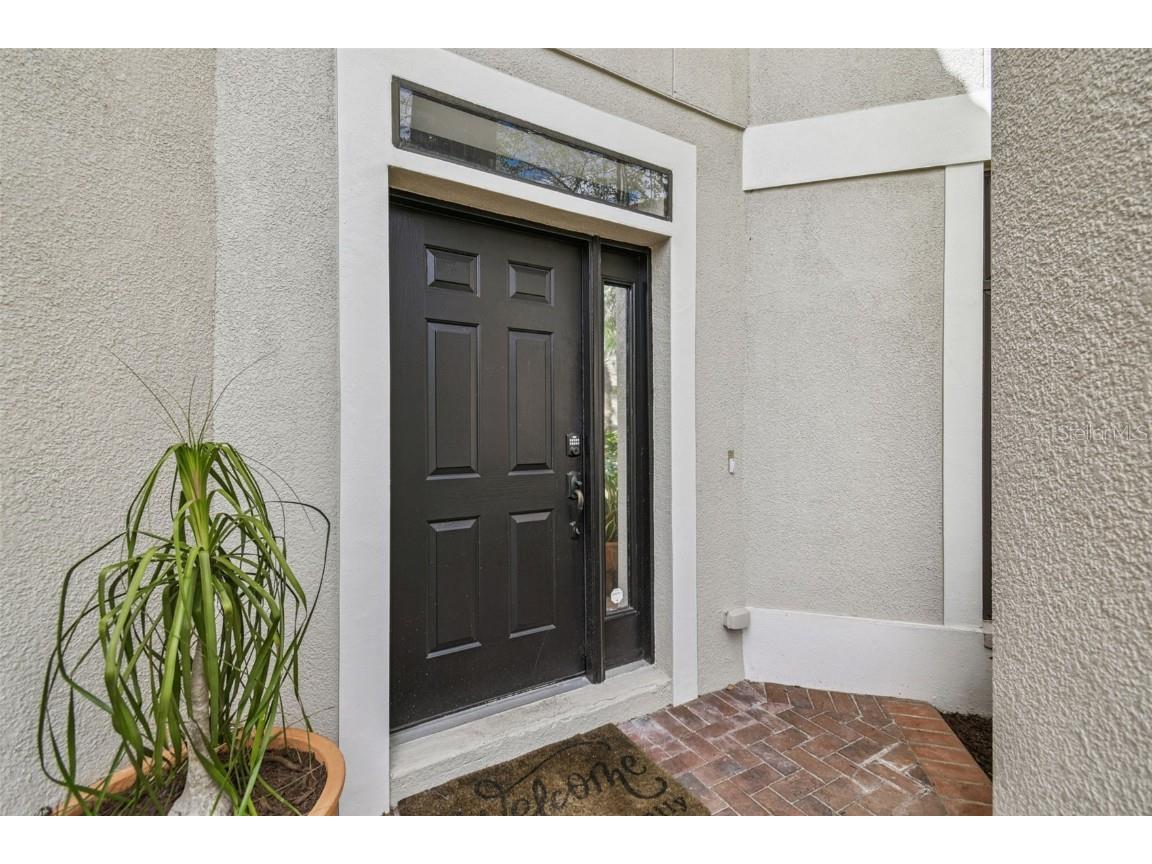 12803 Darby Ridge Drive Tampa FL 33624 TB8442211 image6