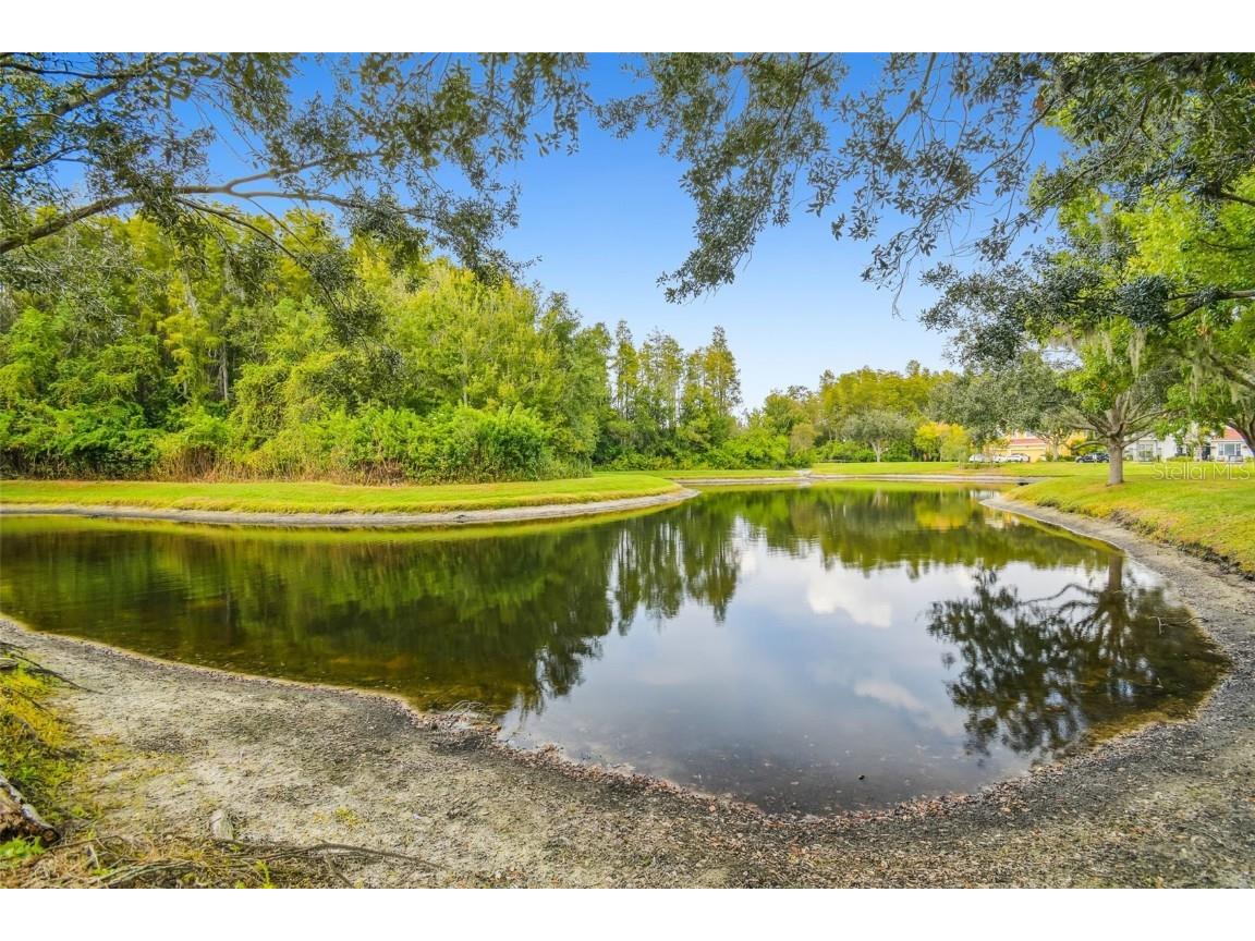 12803 Darby Ridge Drive Tampa FL 33624 TB8442211 image63