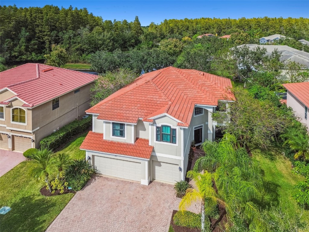 12803 Darby Ridge Drive Tampa FL 33624 TB8442211 image66