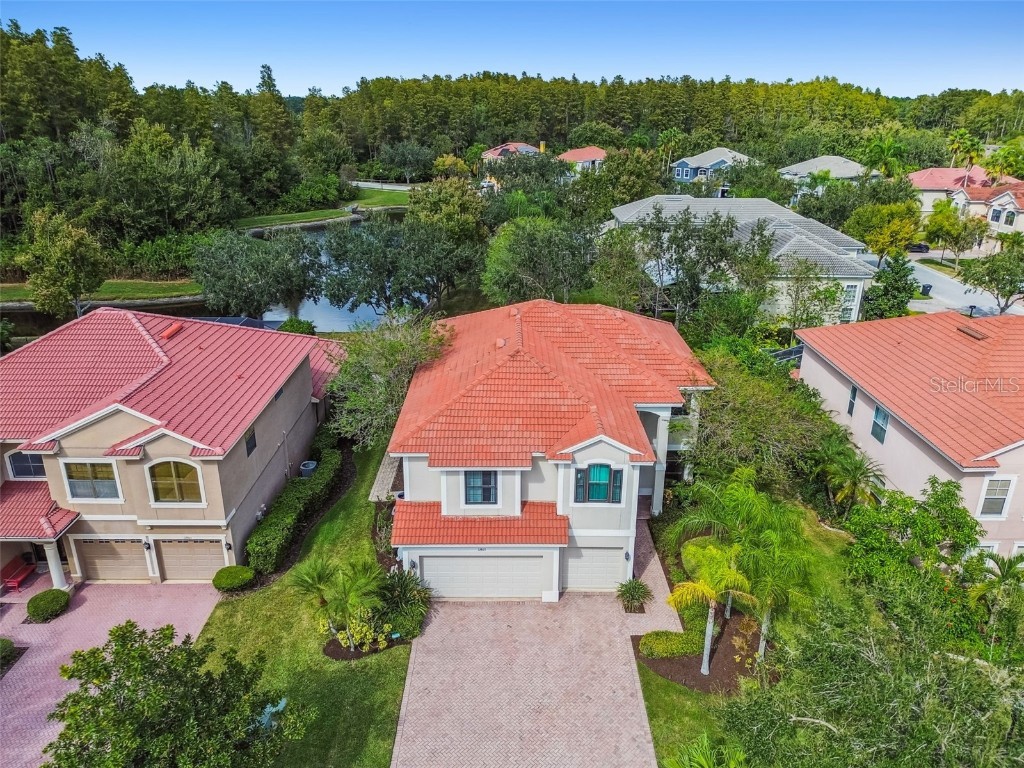 12803 Darby Ridge Drive Tampa FL 33624 TB8442211 image71