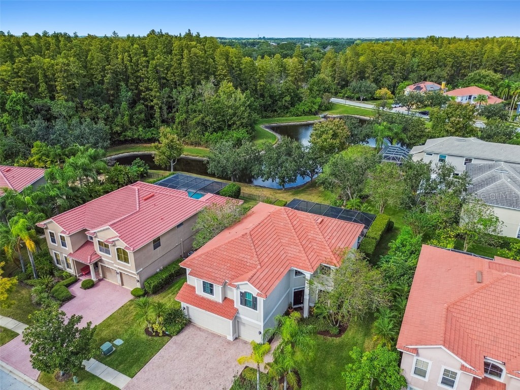 12803 Darby Ridge Drive Tampa FL 33624 TB8442211 image72