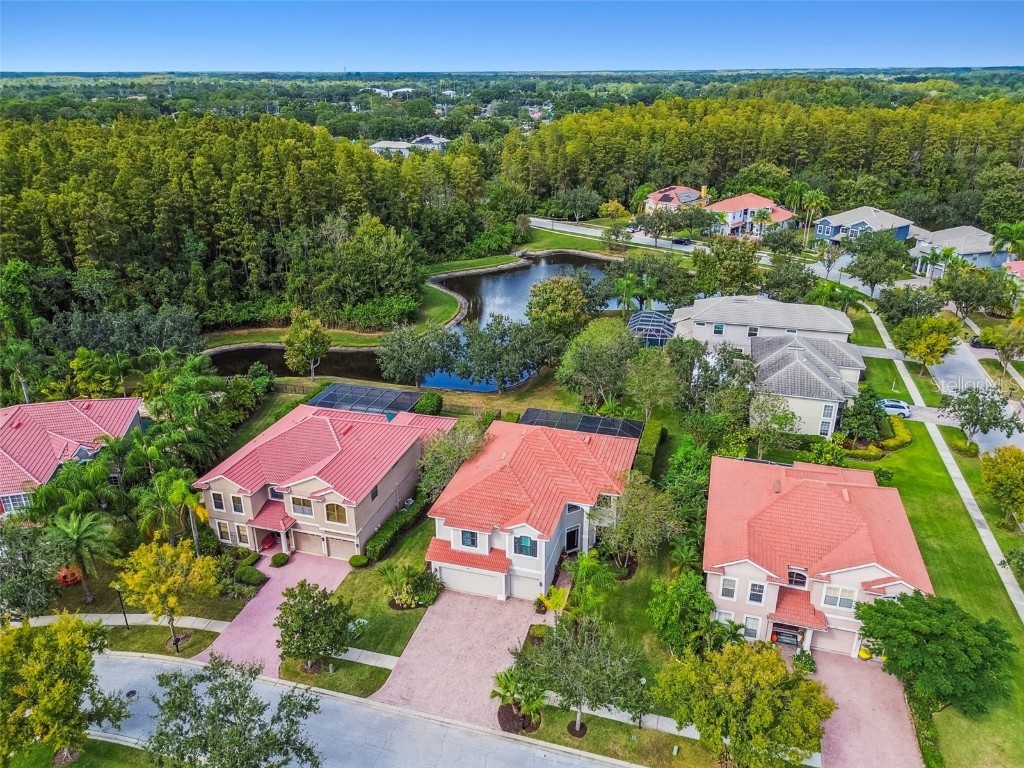 12803 Darby Ridge Drive Tampa FL 33624 TB8442211 image73