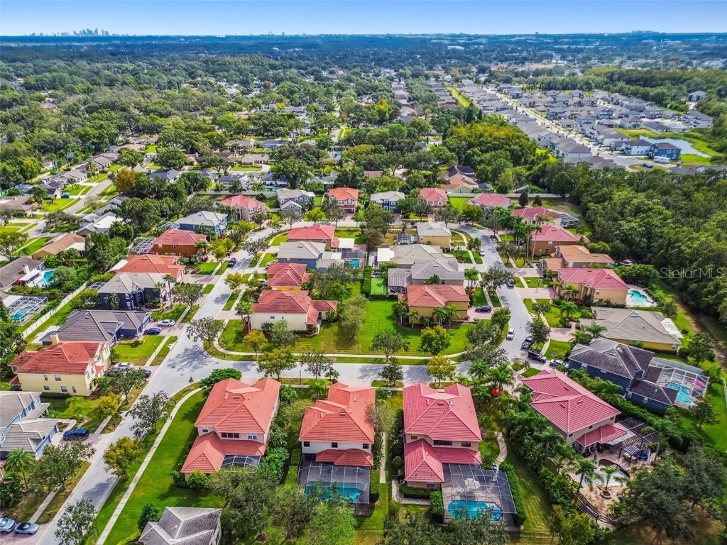 12803 Darby Ridge Drive Tampa FL 33624 TB8442211 image75