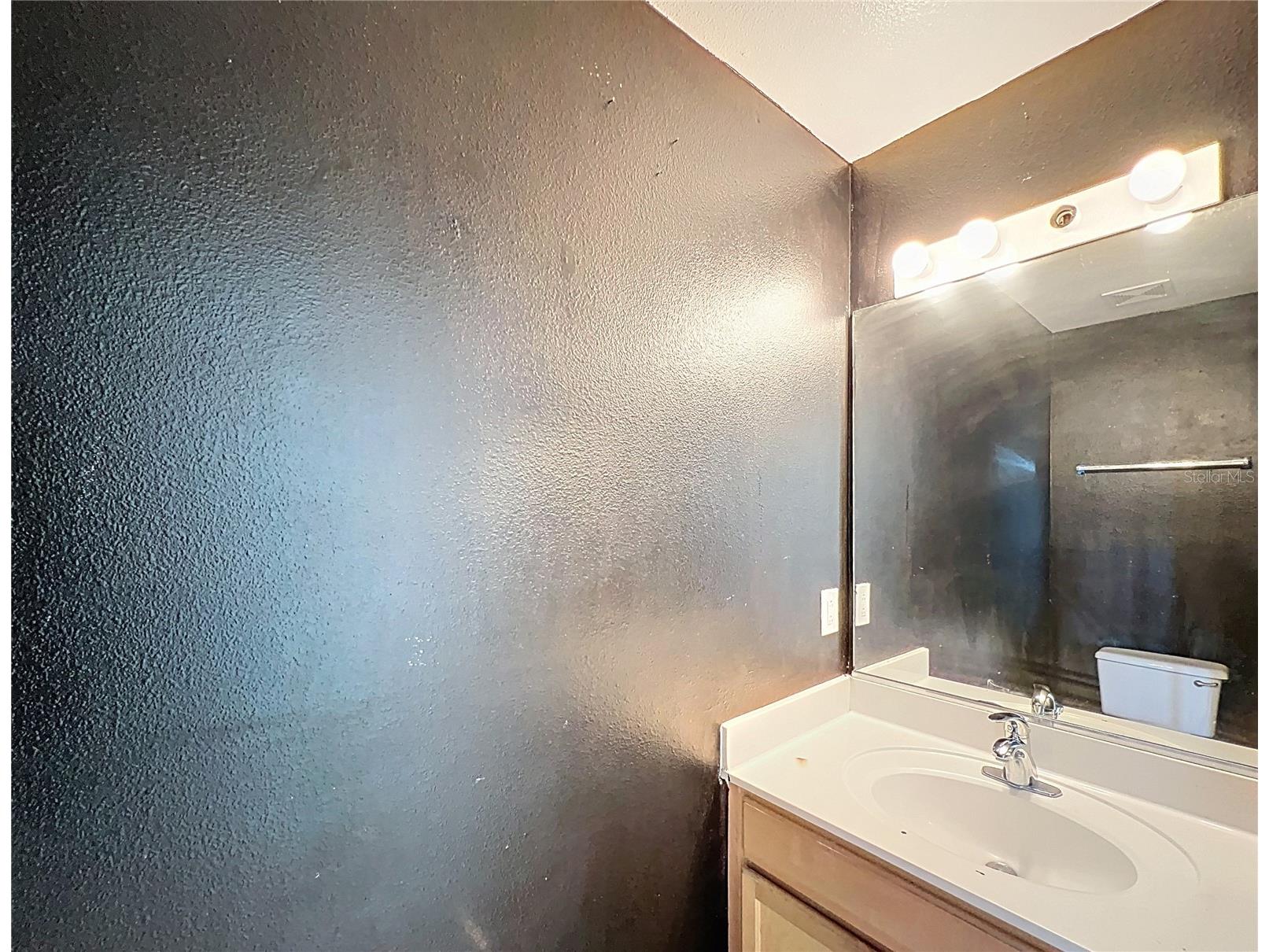 12803 Lake Vista Drive Gibsonton FL 33534 TB8489614 image12
