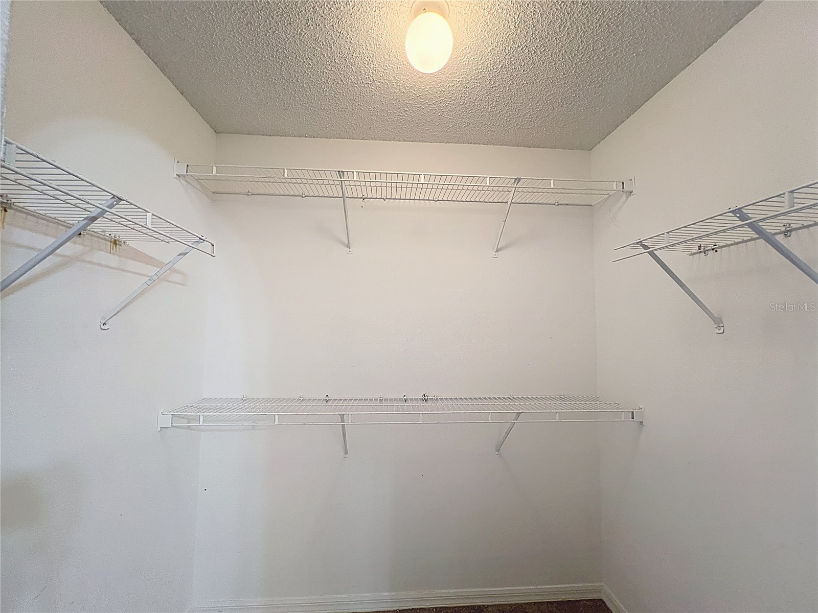 12803 Lake Vista Drive Gibsonton FL 33534 TB8489614 image34
