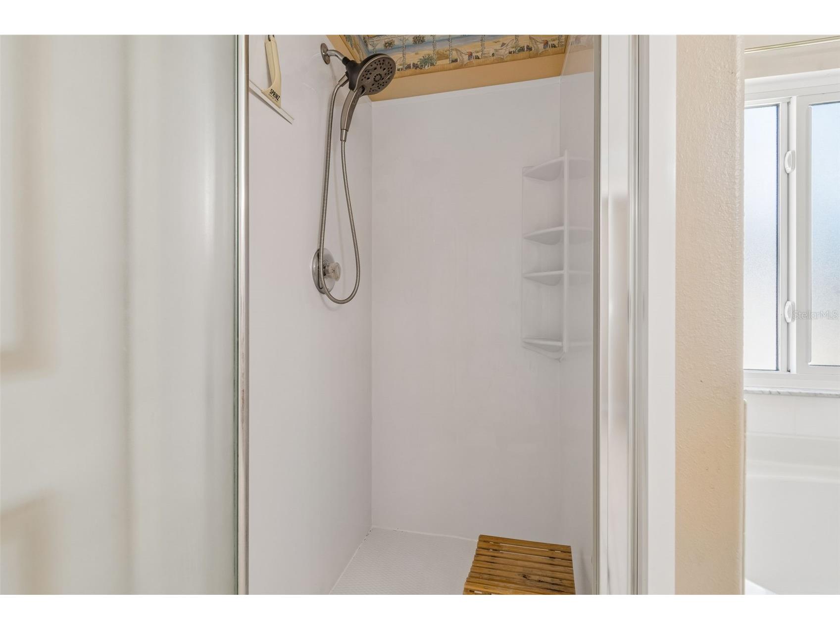 12803 Longcrest Drive Riverview FL 33579 TB8506935 image20