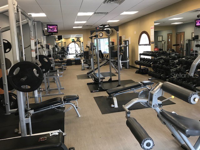 12803 Longcrest Drive Riverview FL 33579 TB8506935 image47