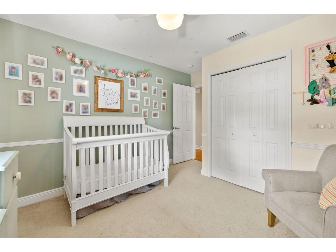 12803 Rain Forest Street Temple Terrace FL 33617 O6357788 image37