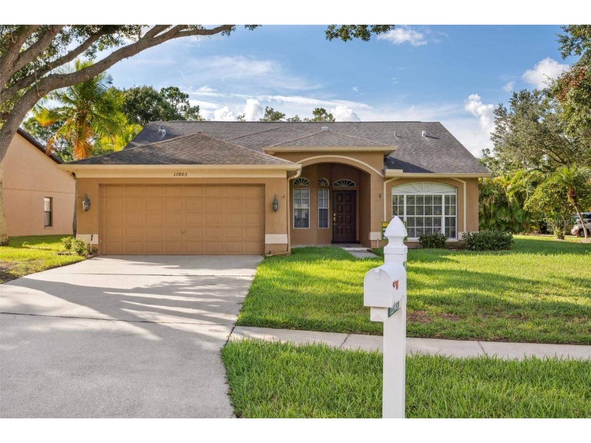 12803 Royal George Avenue Odessa FL 33556 T3467041 image1