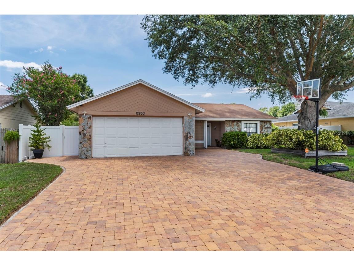 12803 Titina Way Tampa FL 33625 T3452133 image1