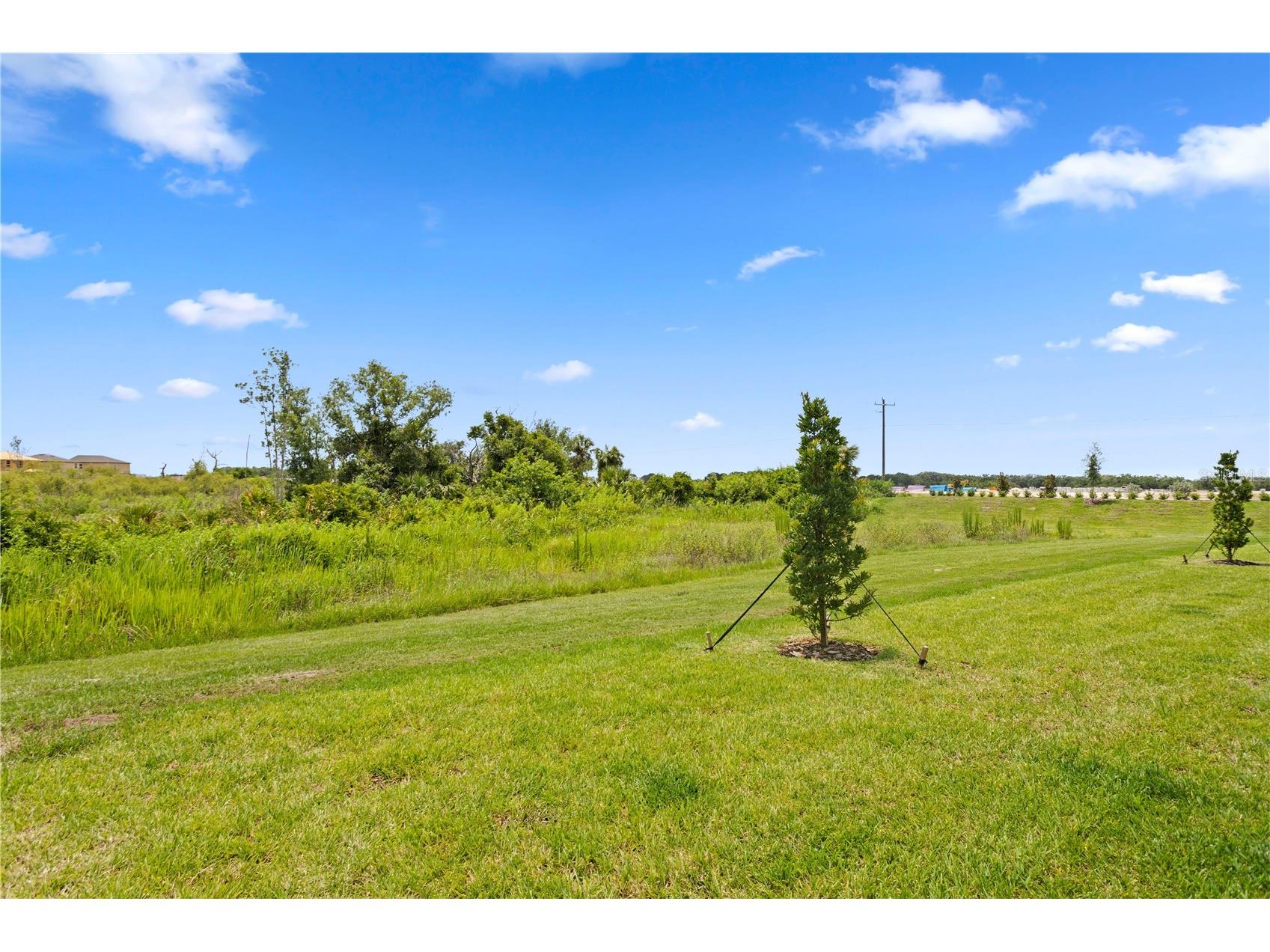 12805 Crystal Jade Way Parrish FL 34219 TB8518795 image35
