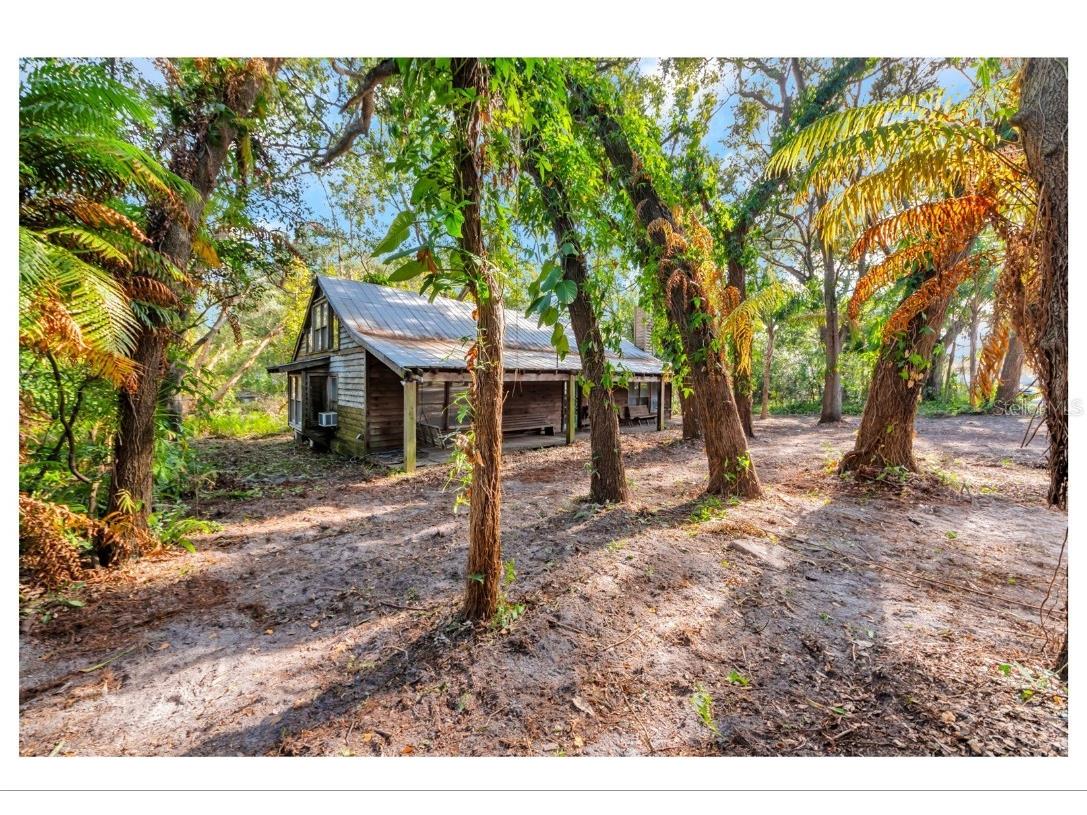 12805 Forest Hills Drive Tampa FL 33612 TB8457109 image15