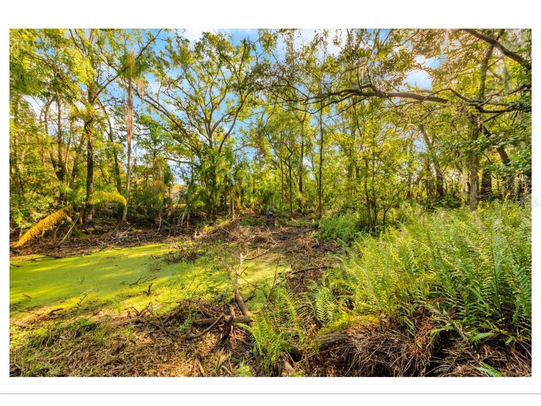 12805 Forest Hills Drive Tampa FL 33612 TB8457109 image16