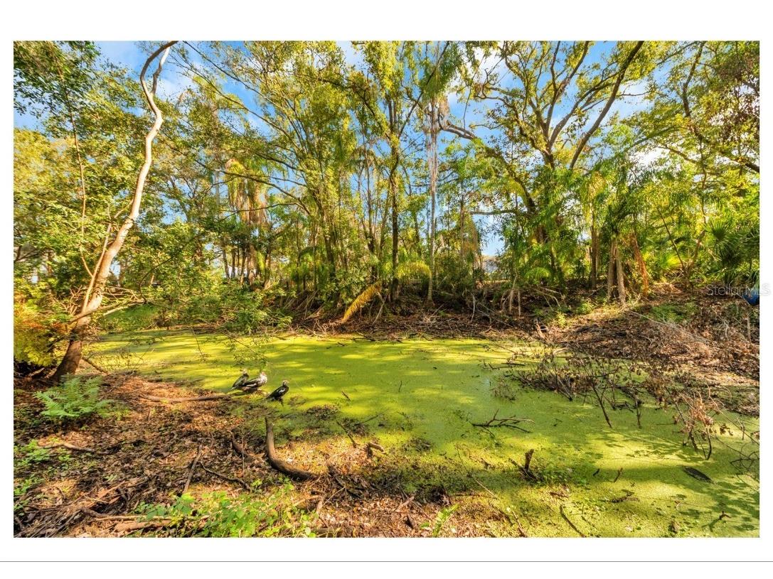 12805 Forest Hills Drive Tampa FL 33612 TB8457109 image17