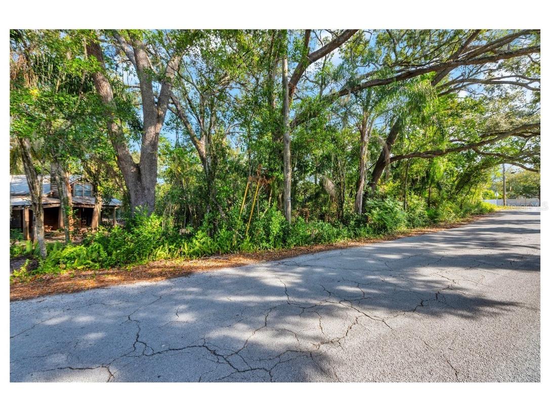 12805 Forest Hills Drive Tampa FL 33612 TB8457109 image19