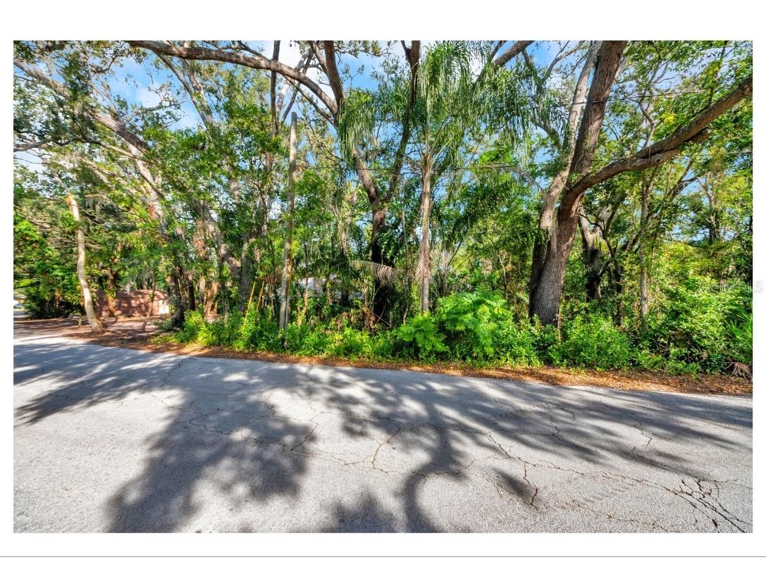 12805 Forest Hills Drive Tampa FL 33612 TB8457109 image20