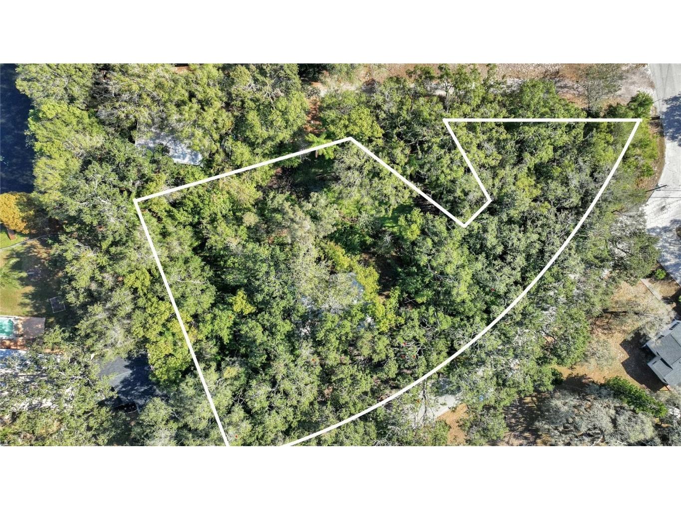 12805 Forest Hills Drive Tampa FL 33612 TB8457109 image4