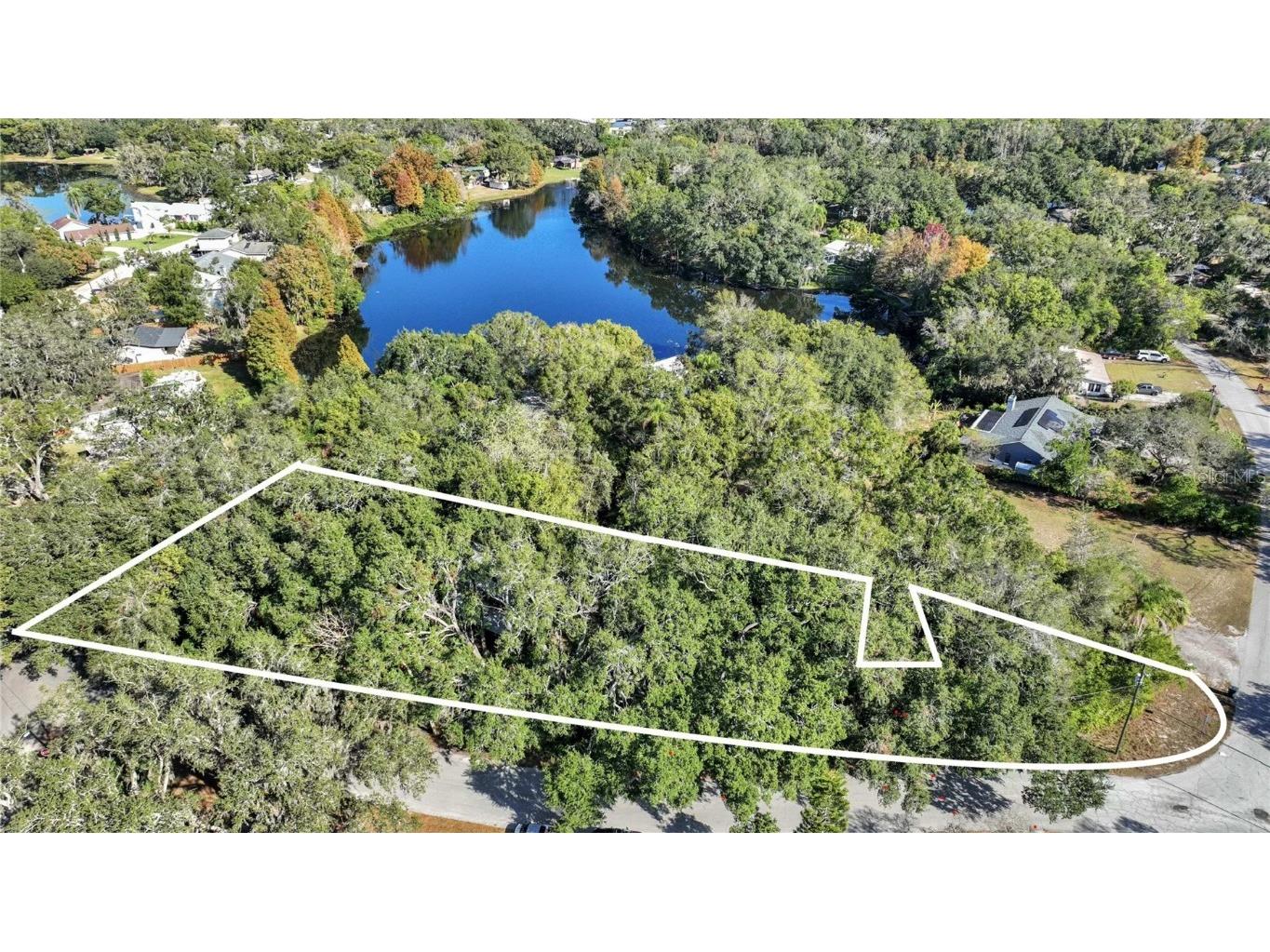 12805 Forest Hills Drive Tampa FL 33612 TB8457109 image5