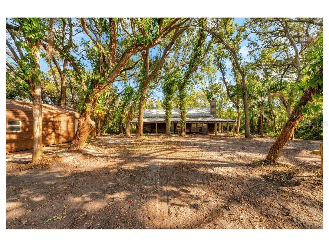 12805 Forest Hills Drive Tampa FL 33612 TB8457109 image8