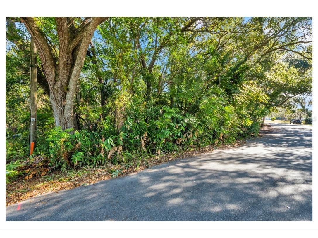 12805 Forest Hills Drive Tampa FL 33612 TB8457120 image21