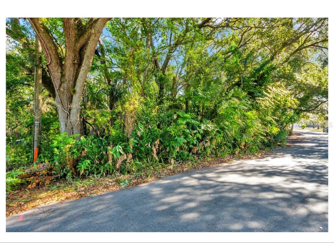 12805 Forest Hills Drive Tampa FL 33612 TB8457120 image22