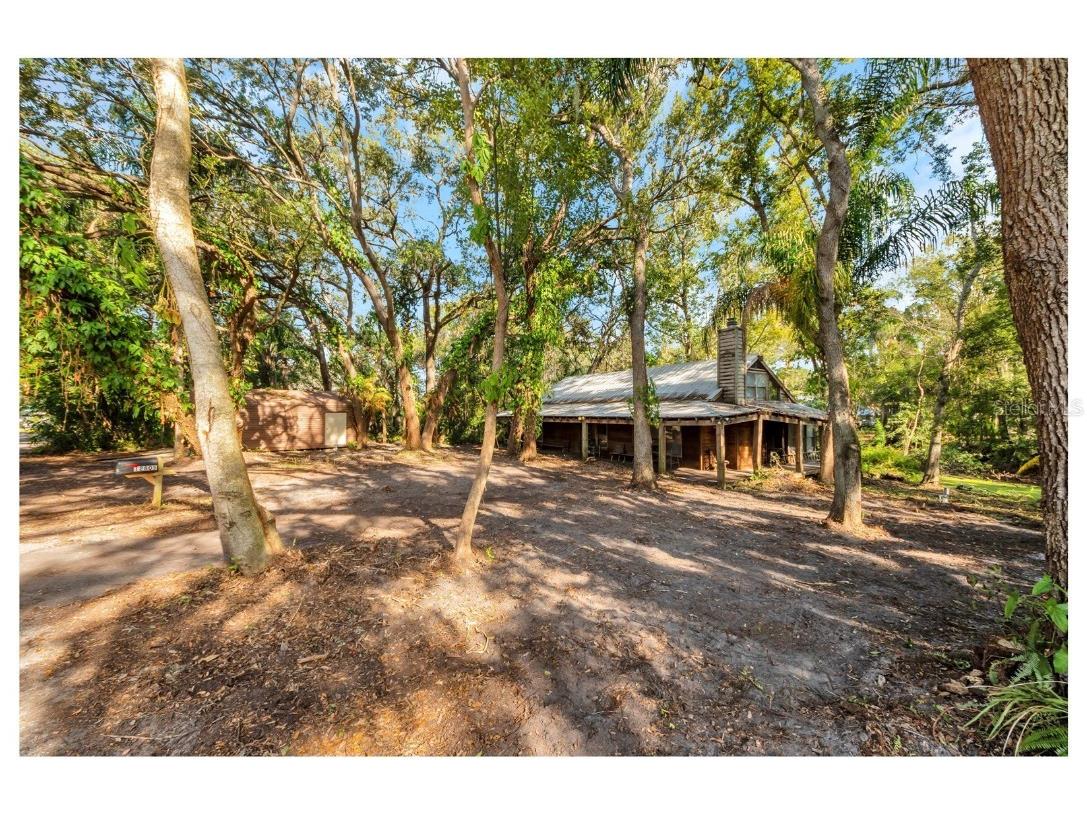 12805 Forest Hills Drive Tampa FL 33612 TB8457120 image9