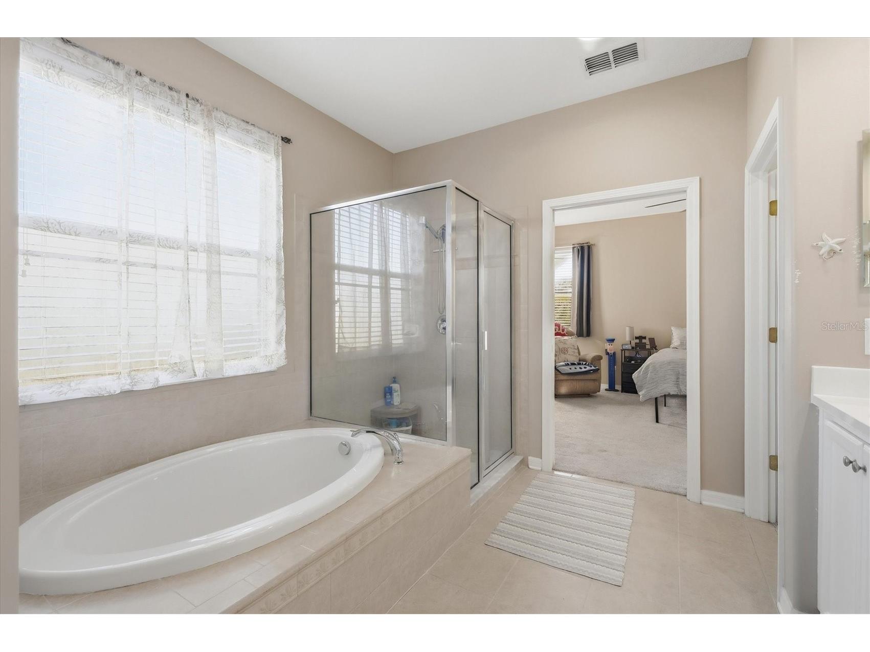 12806 24th Street Circle E Parrish FL 34219 A4680185 image22