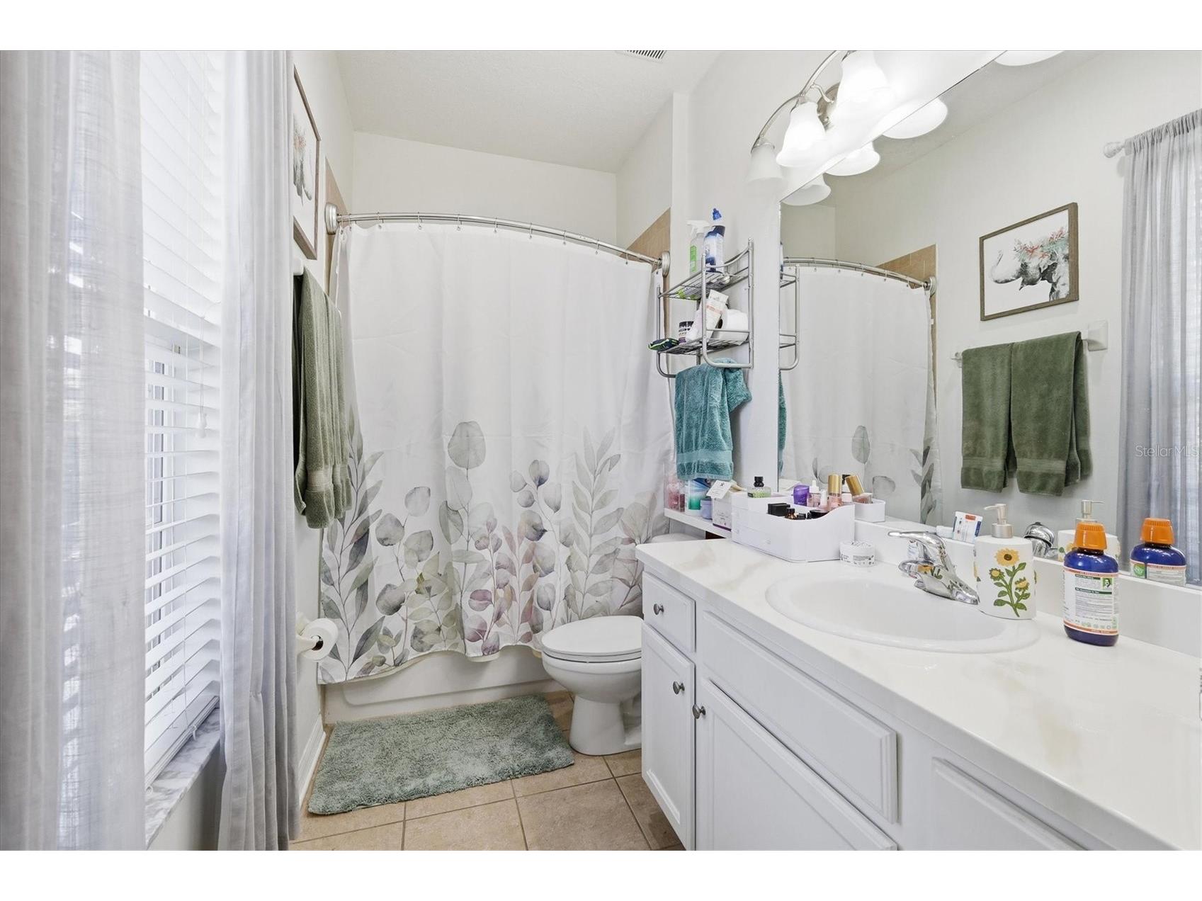 12806 24th Street Circle E Parrish FL 34219 A4680185 image25