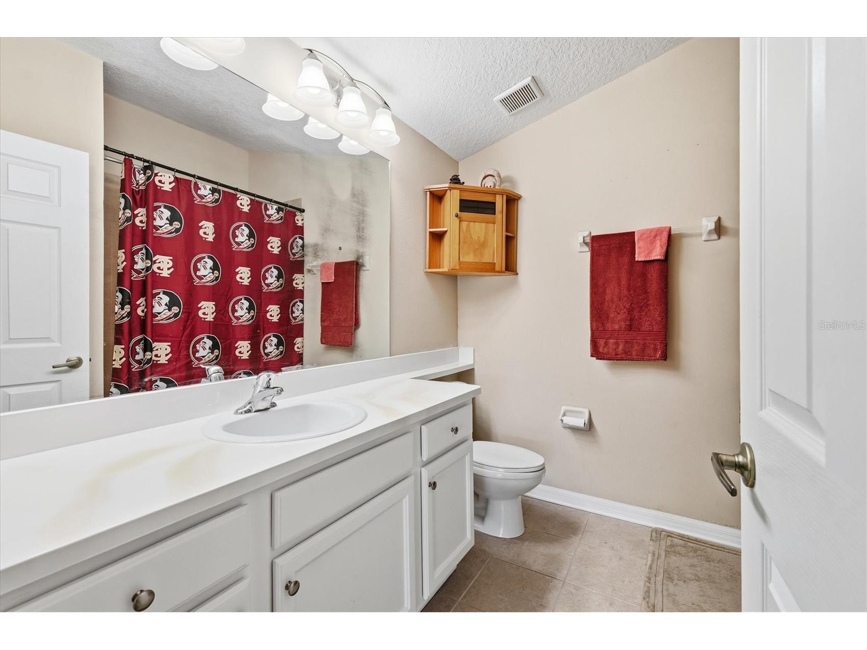 12806 24th Street Circle E Parrish FL 34219 A4680185 image30