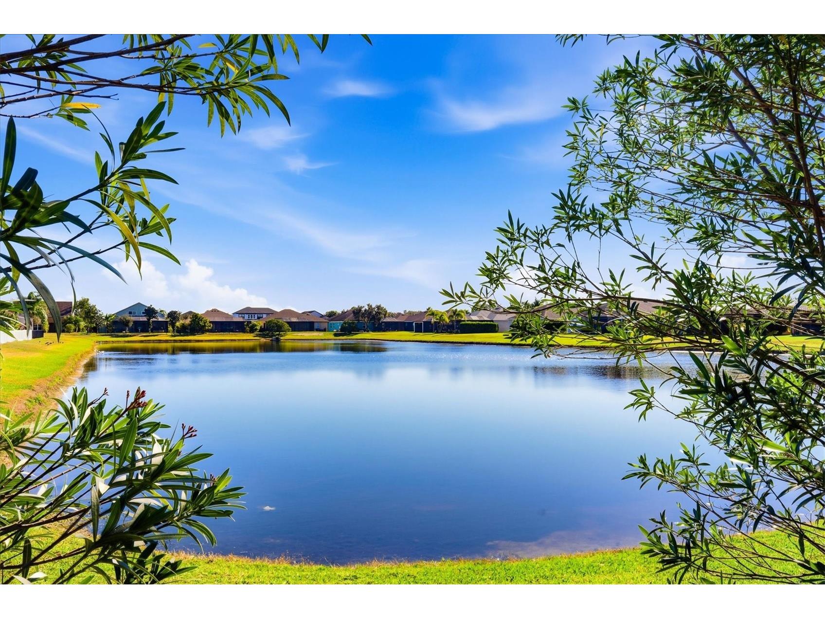 12806 24th Street Circle E Parrish FL 34219 A4680185 image44
