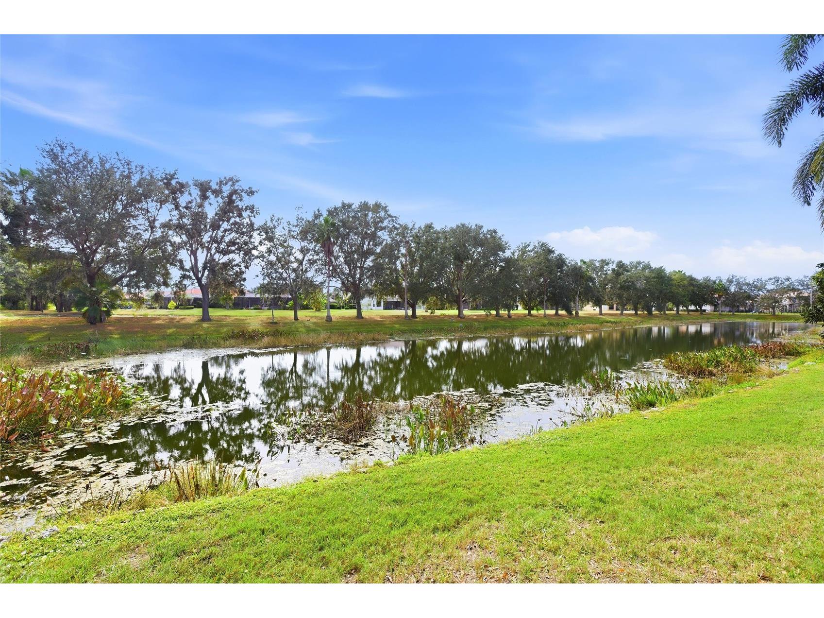 12806 7th Avenue NE Bradenton FL 34212 - POND 