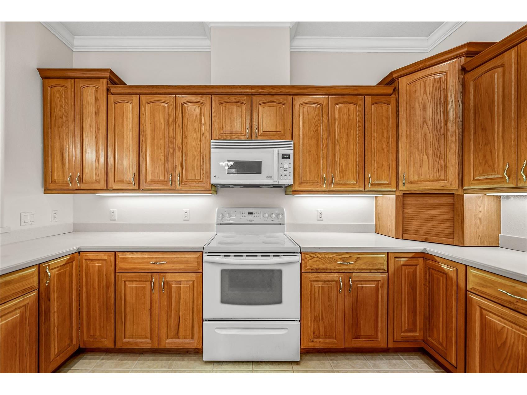 12806 Judy Street Dade City FL 33525 TB8525236 image16