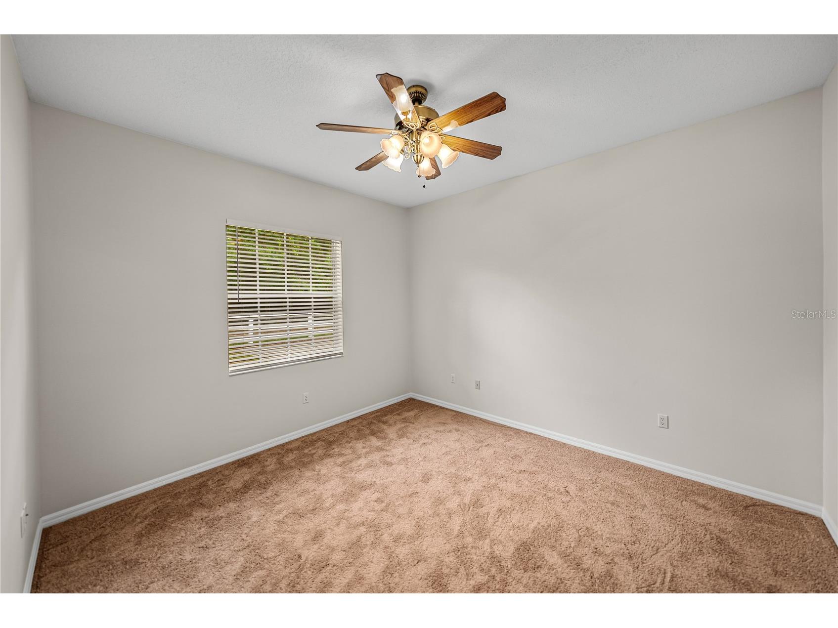 12806 Judy Street Dade City FL 33525 TB8525236 image33