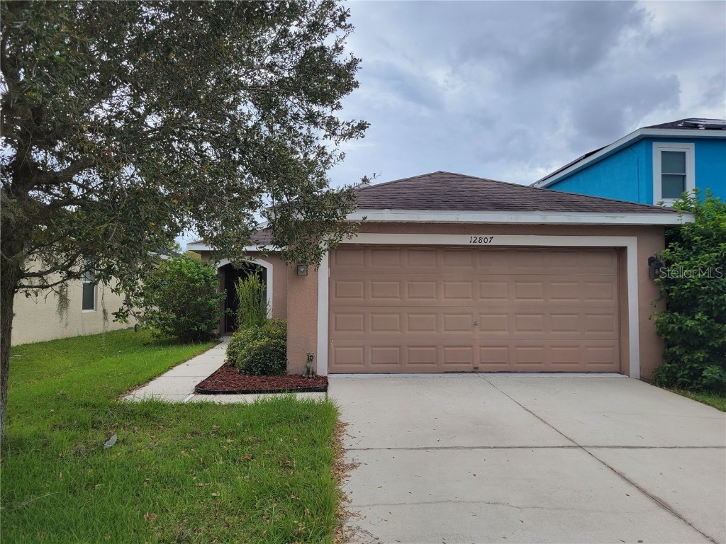 12807 Geneva Glade Drive Riverview FL 33578 T3489599 image1