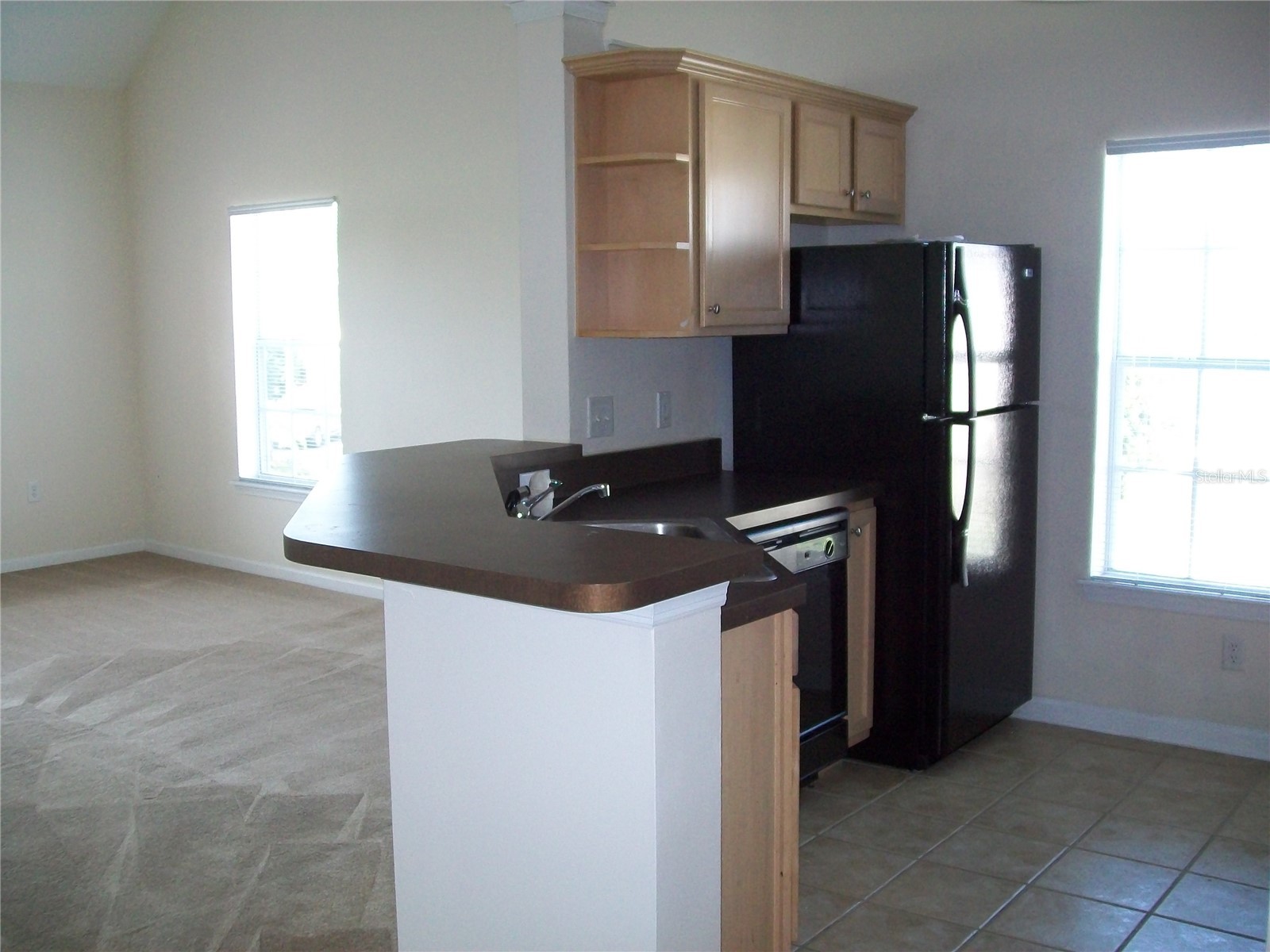 12807 Madison Pointe Circle #203 Orlando FL 32821 O6396901 image9