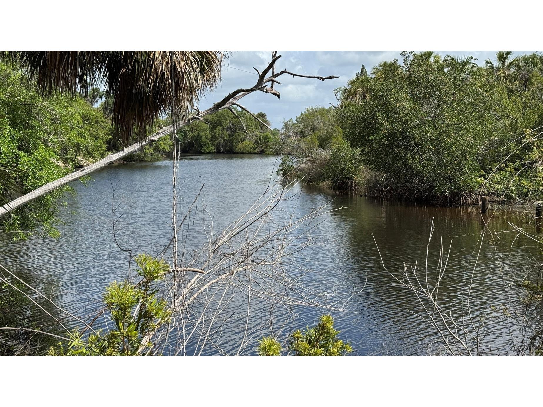 12807 Upper Manatee River Rd Bradenton FL 34212 - Mill Creek A4684752 image1