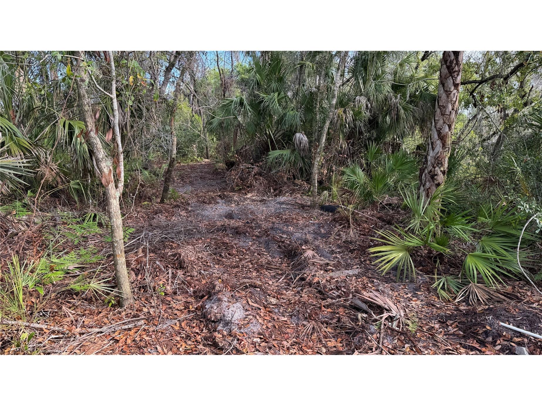 12807 Upper Manatee River Rd Bradenton FL 34212 - Mill Creek A4684752 image10